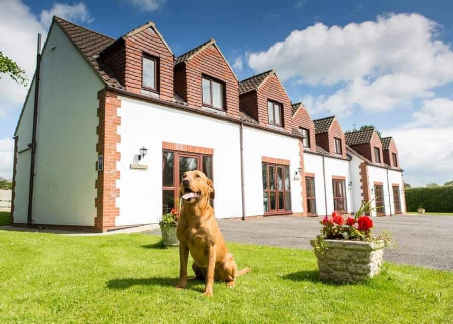 White Rose Country Cottages Thormanby Eksteriør billede